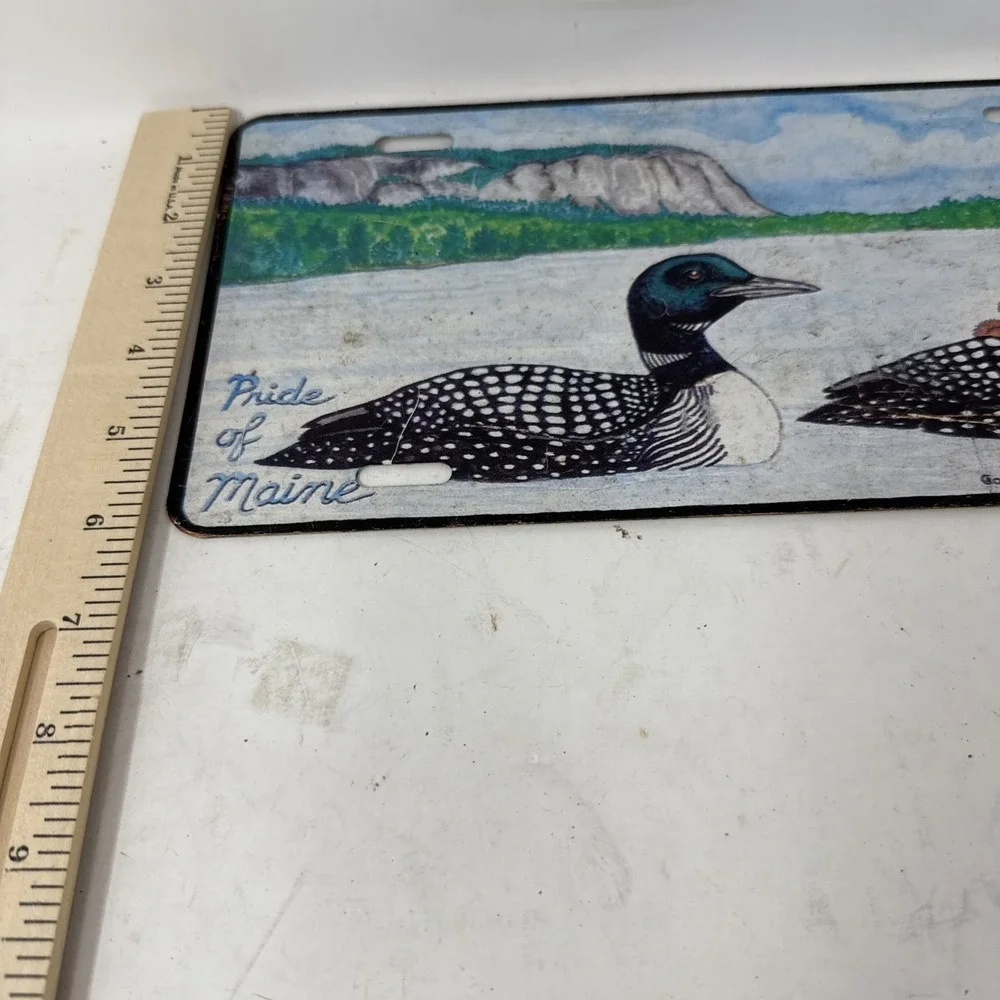 VTG 1994 Maine License Plate Mount Kineo Moosehead Lake Dale Thomas Loons